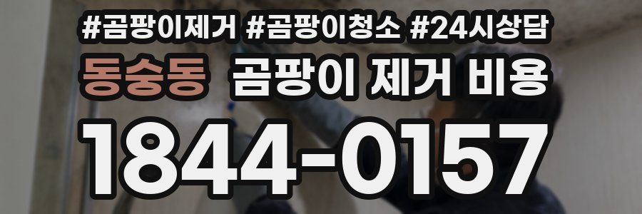 동숭동 곰팡이 제거 비용