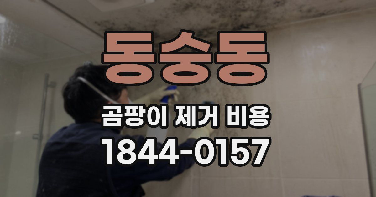 동숭동 곰팡이 제거 비용