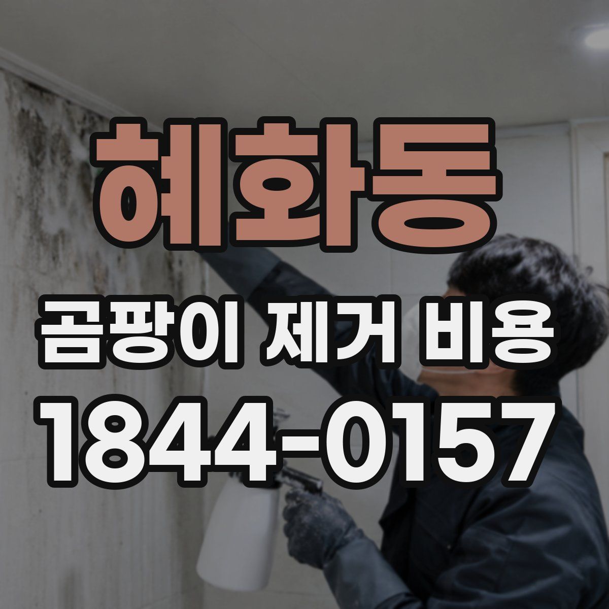 혜화동 곰팡이 제거 비용