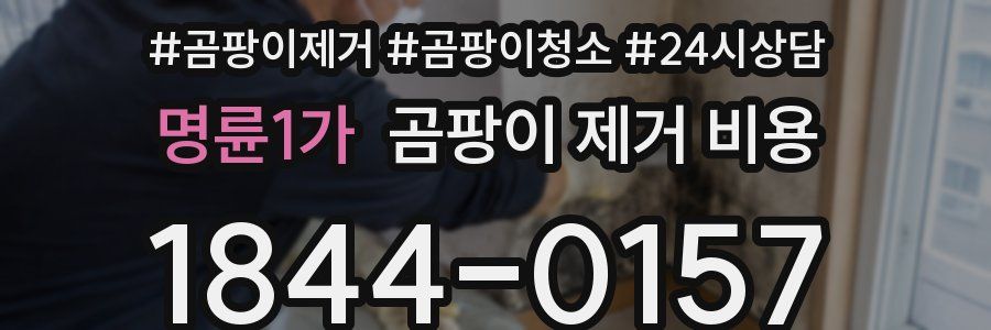 명륜1가 곰팡이 제거 비용
