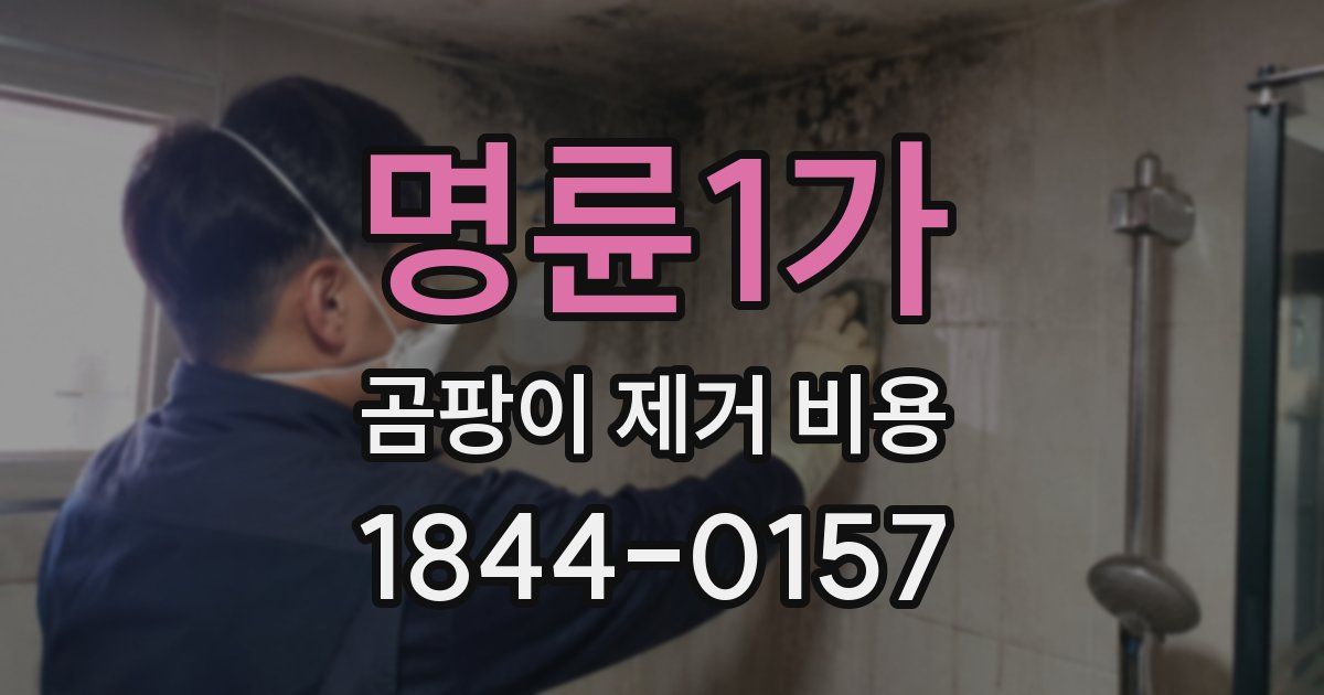 명륜1가 곰팡이 제거 비용