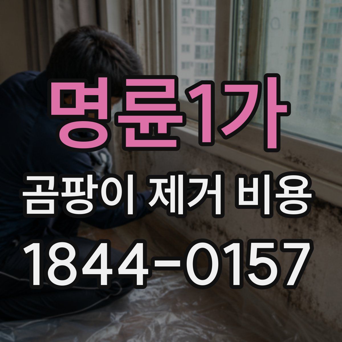 명륜1가 곰팡이 제거 비용