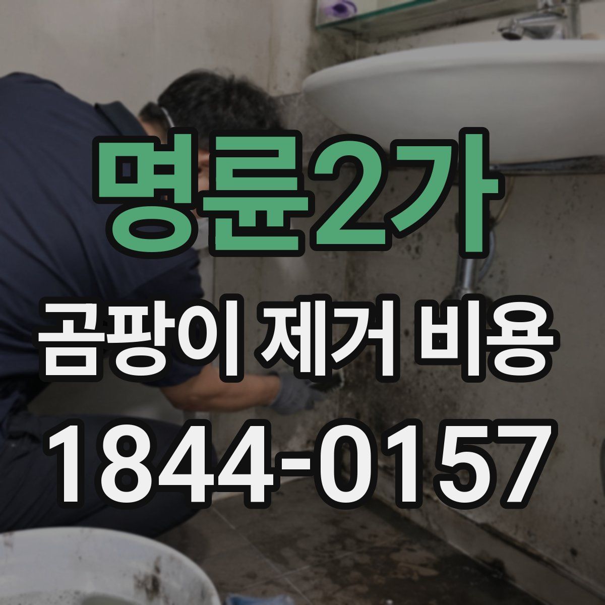 명륜2가 곰팡이 제거 비용