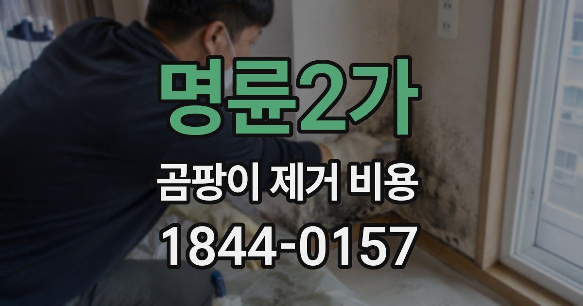 명륜2가 곰팡이 제거 비용