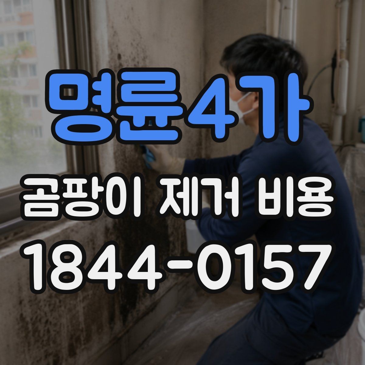 명륜4가 곰팡이 제거 비용 셀프로 할 때와 업체 맡길 때 차이