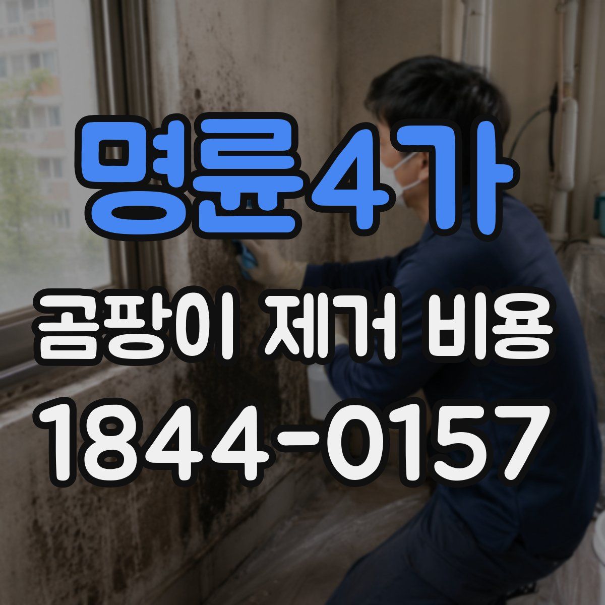 명륜4가 곰팡이 제거 비용