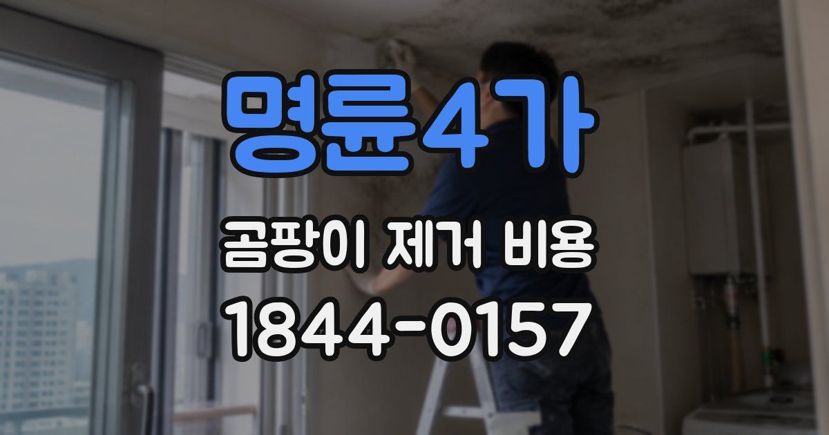 명륜4가 곰팡이 제거 비용