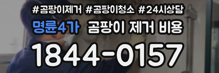 명륜4가 곰팡이 제거 비용