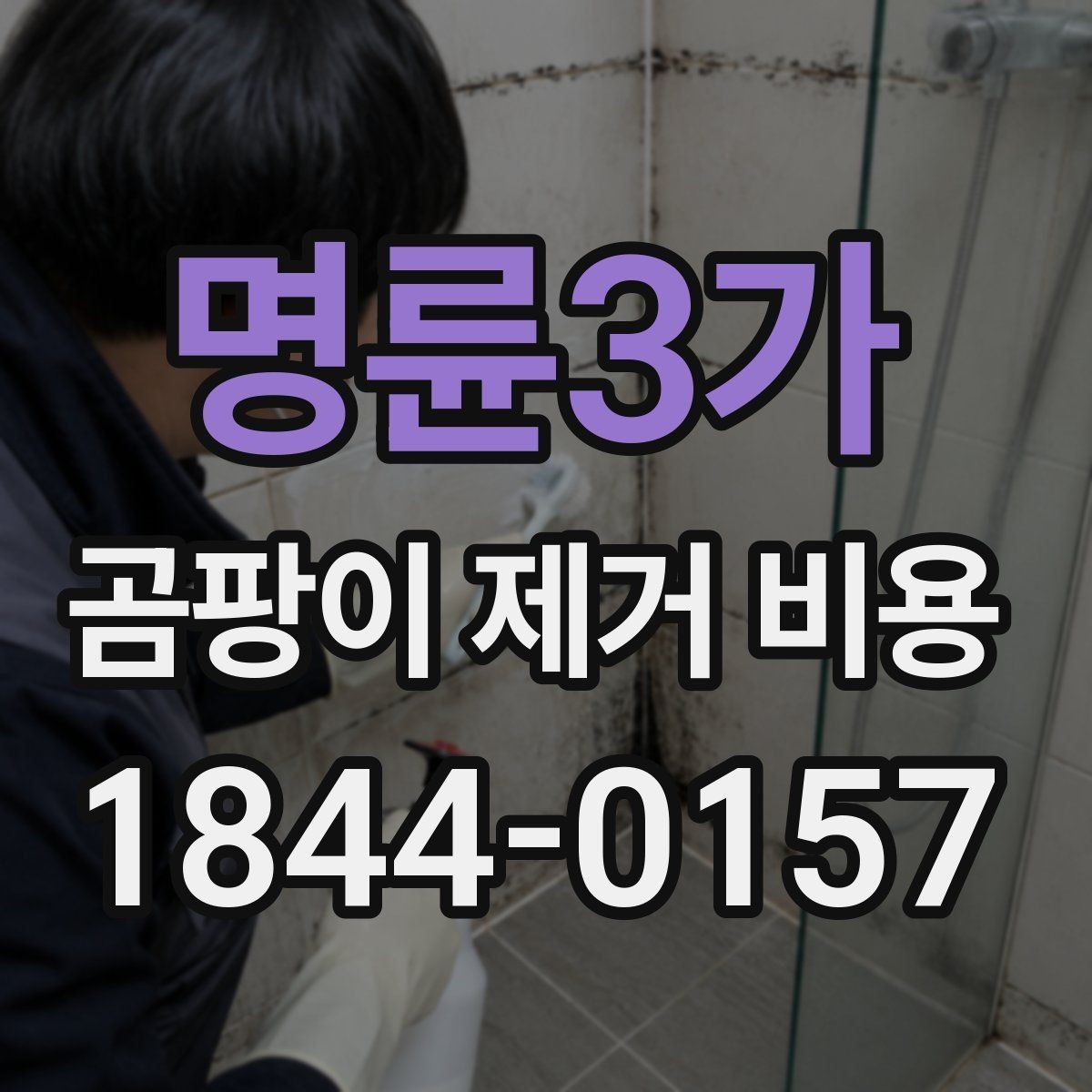 명륜3가 곰팡이 제거 비용 소독과 항균 마감까지 포함될까