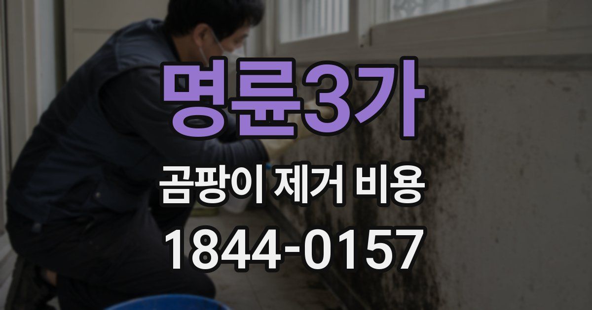 명륜3가 곰팡이 제거 비용