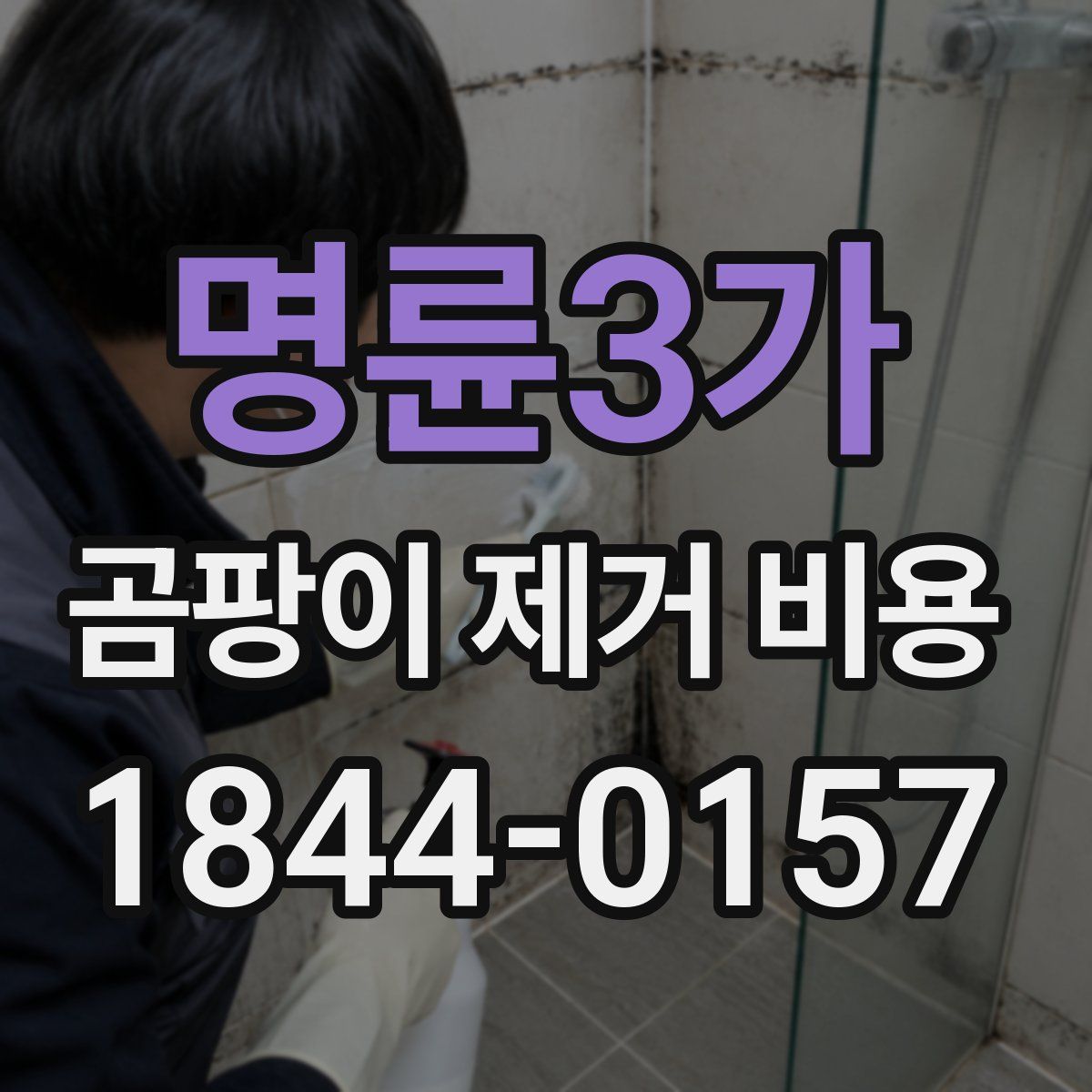 명륜3가 곰팡이 제거 비용