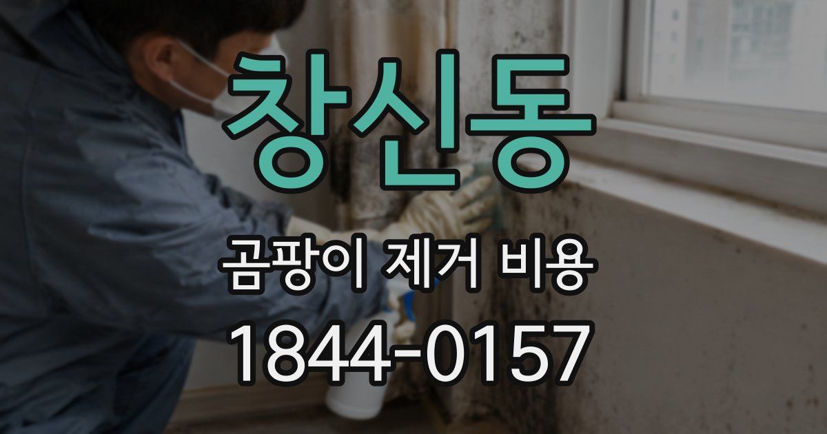 창신동 곰팡이 제거 비용