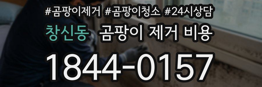 창신동 곰팡이 제거 비용