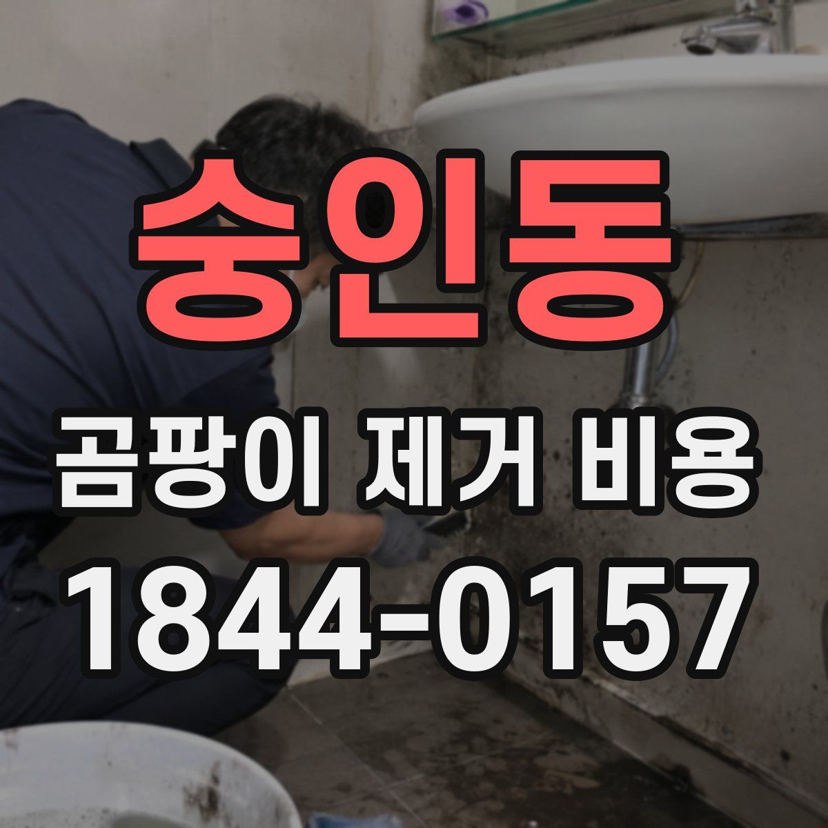 숭인동 곰팡이 제거 비용