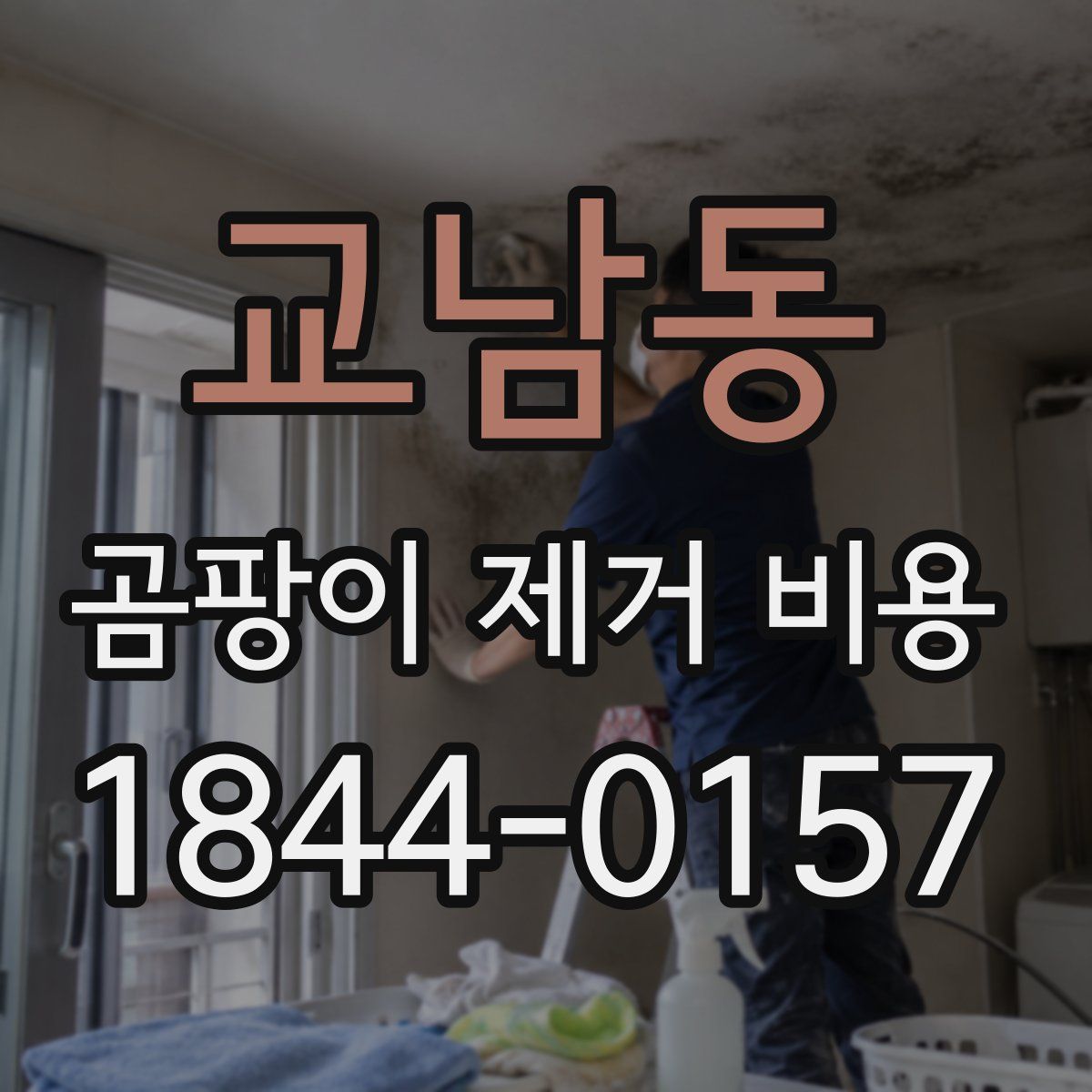 교남동 곰팡이 제거 비용