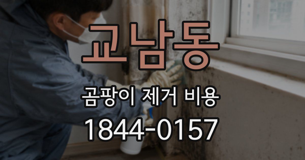 교남동 곰팡이 제거 비용