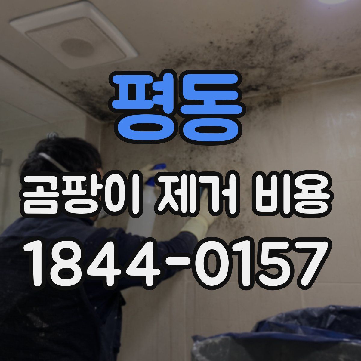 평동 곰팡이 제거 비용