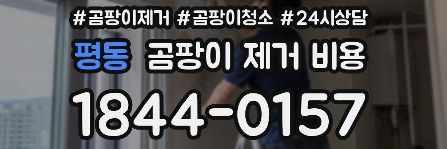 평동 곰팡이 제거 비용