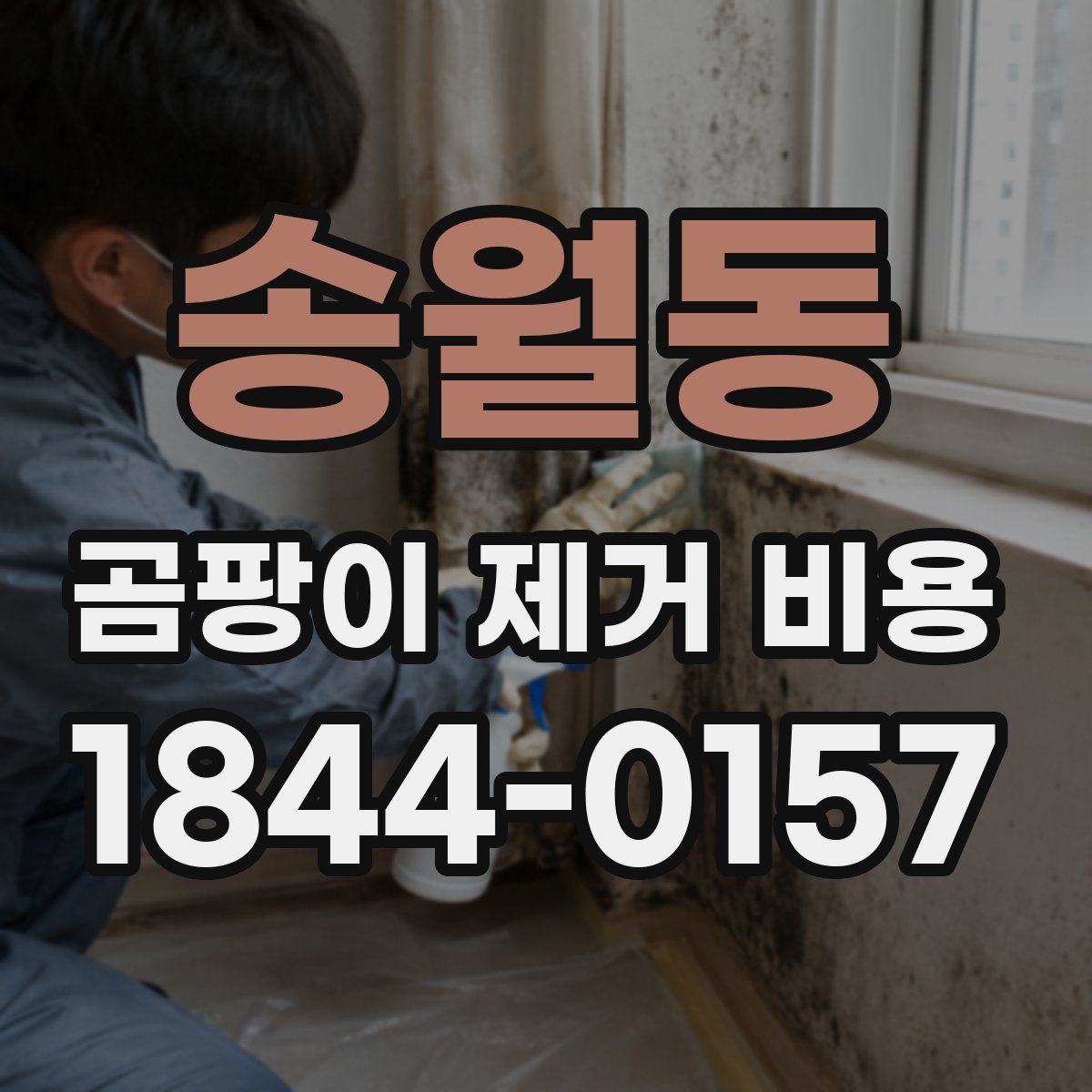 송월동 곰팡이 제거 비용