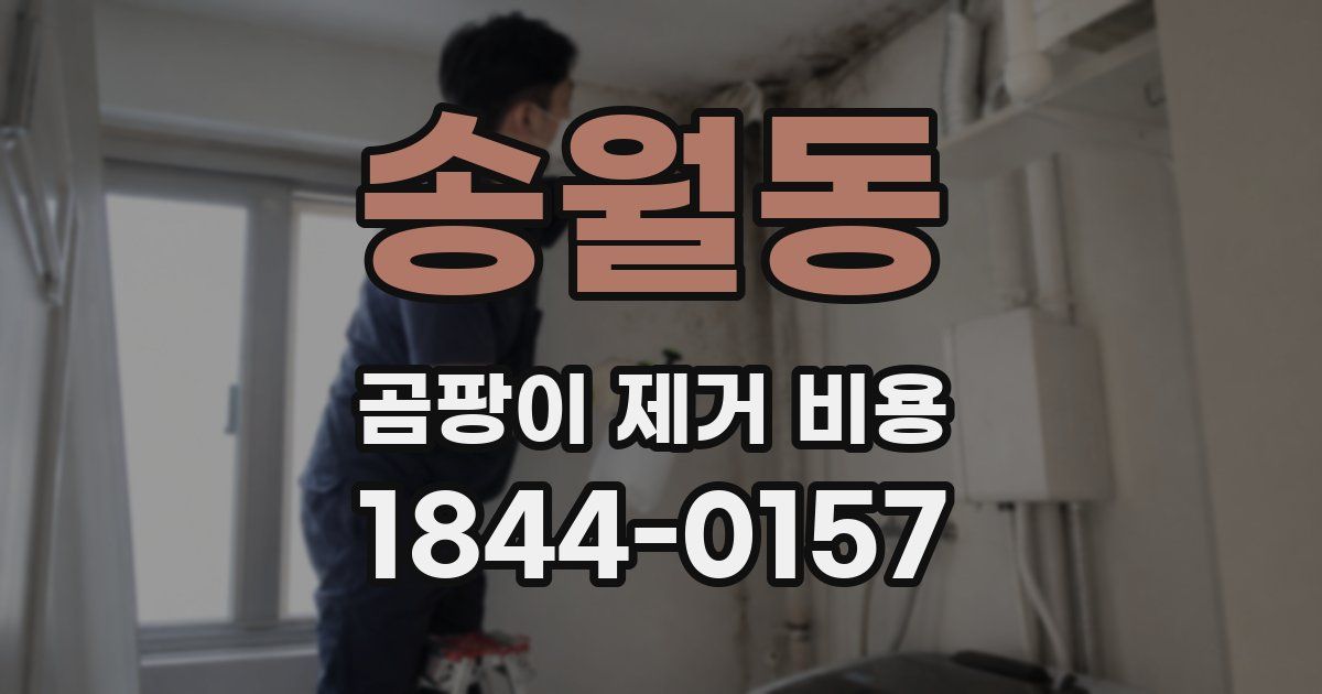 송월동 곰팡이 제거 비용