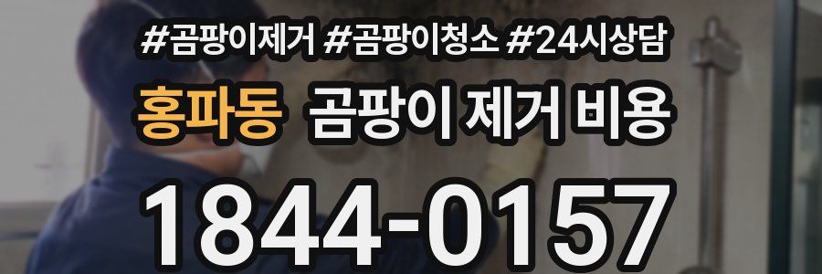 홍파동 곰팡이 제거 비용