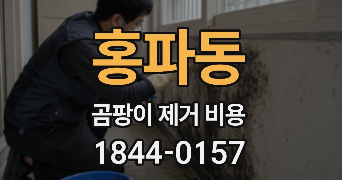 홍파동 곰팡이 제거 비용
