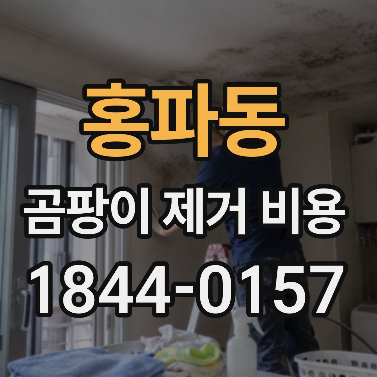 홍파동 곰팡이 제거 비용