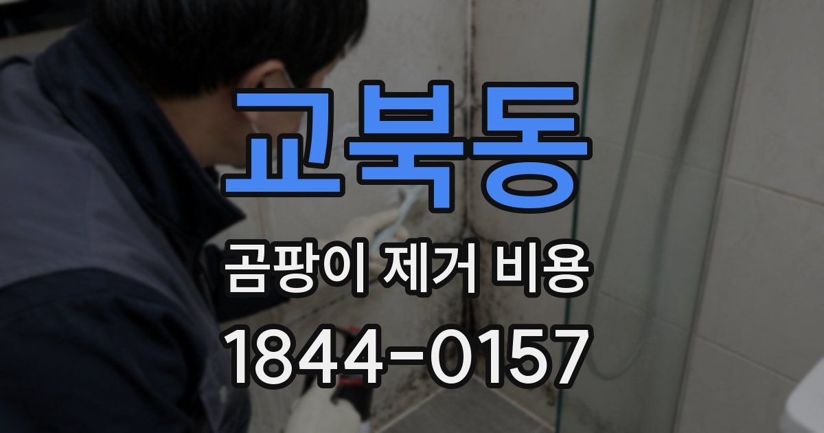 교북동 곰팡이 제거 비용