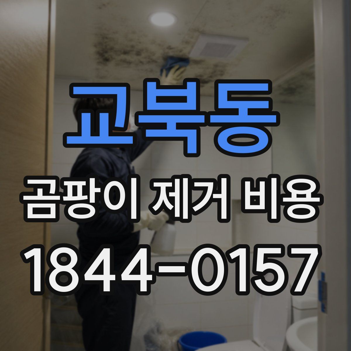 교북동 곰팡이 제거 비용