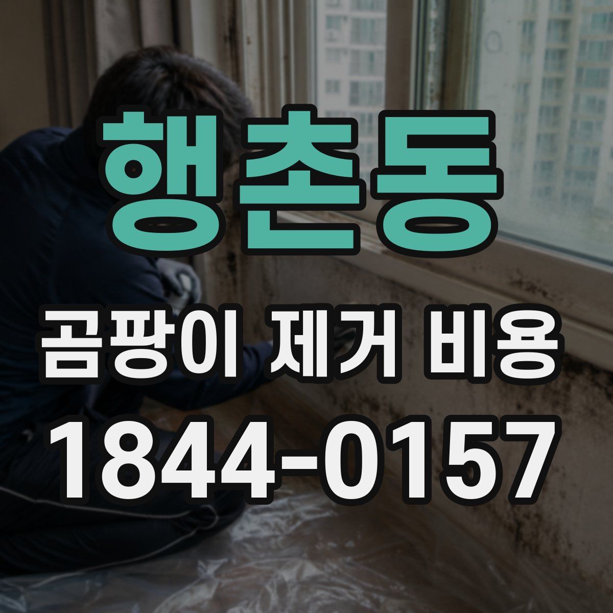 행촌동 곰팡이 제거 비용