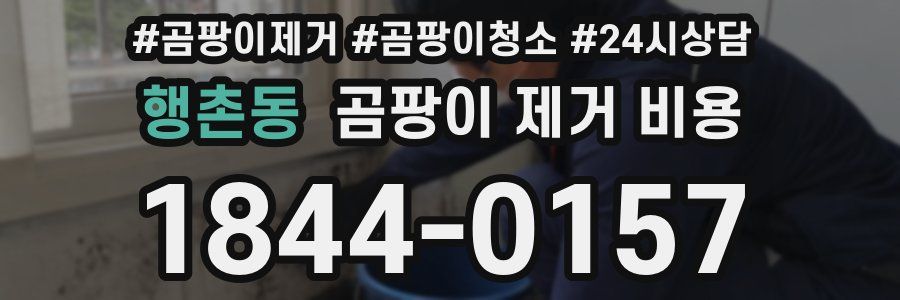 행촌동 곰팡이 제거 비용