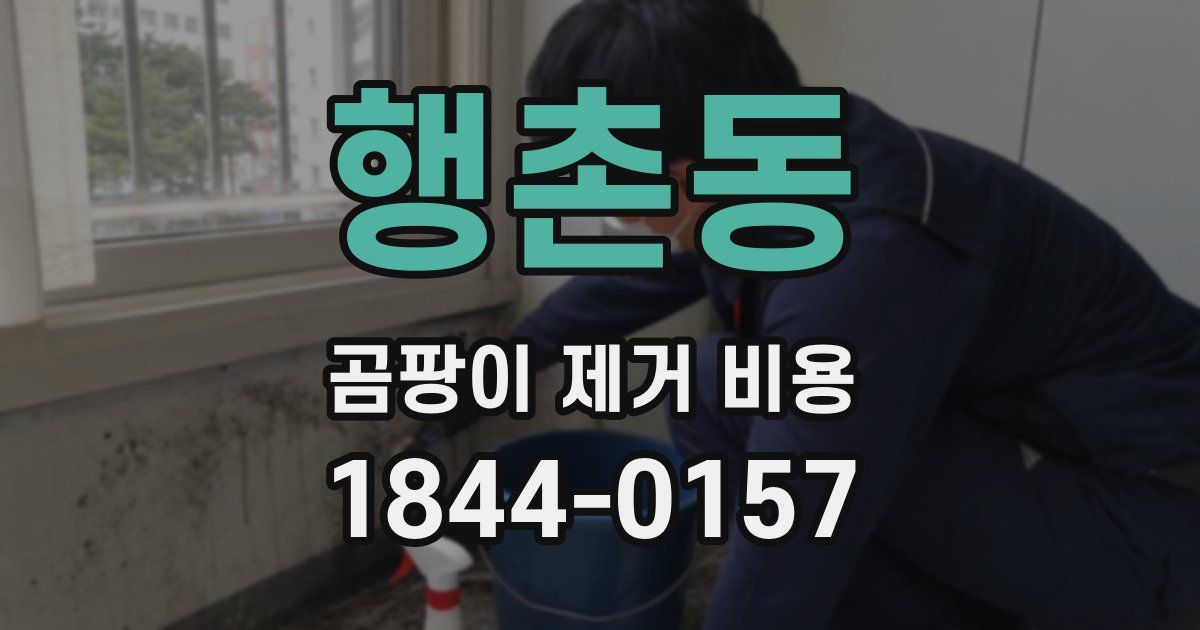 행촌동 곰팡이 제거 비용