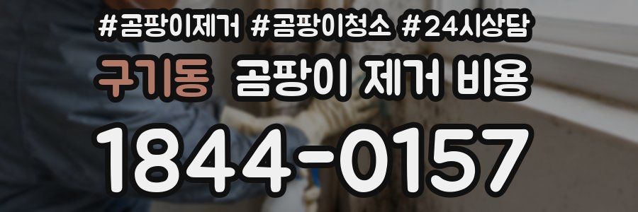 구기동 곰팡이 제거 비용