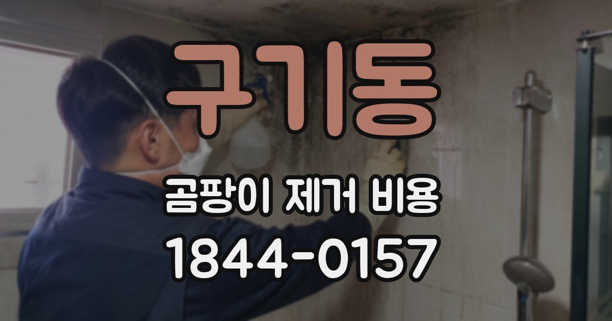 구기동 곰팡이 제거 비용