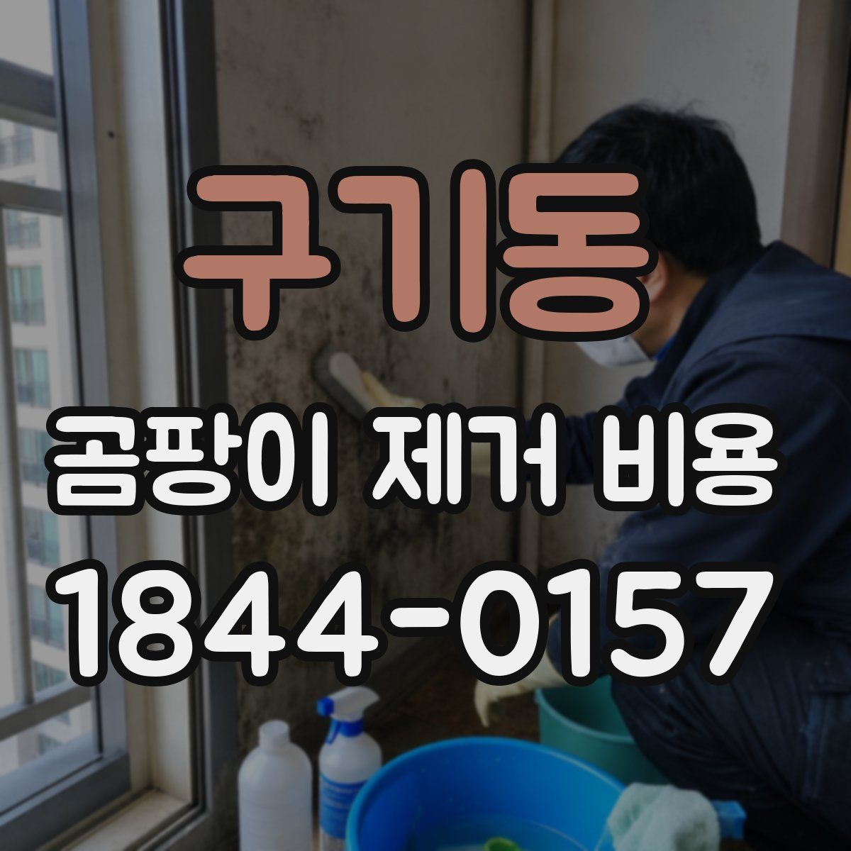 구기동 곰팡이 제거 비용