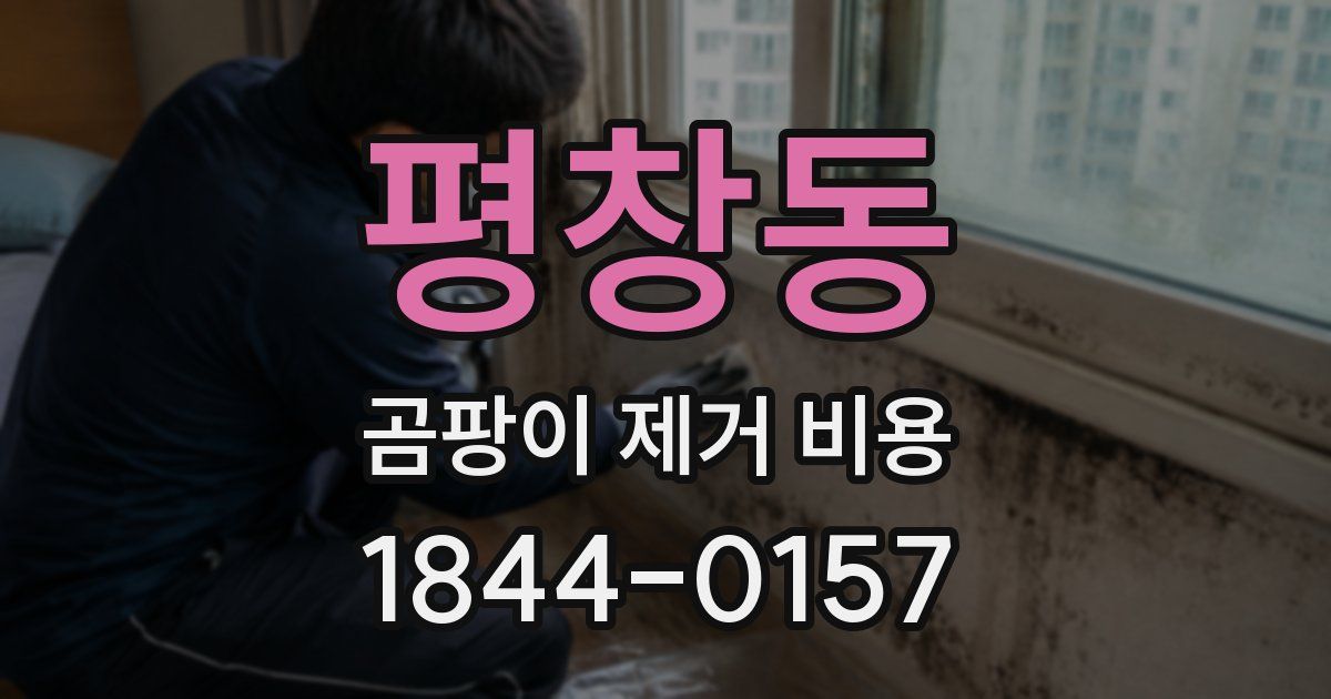 평창동 곰팡이 제거 비용