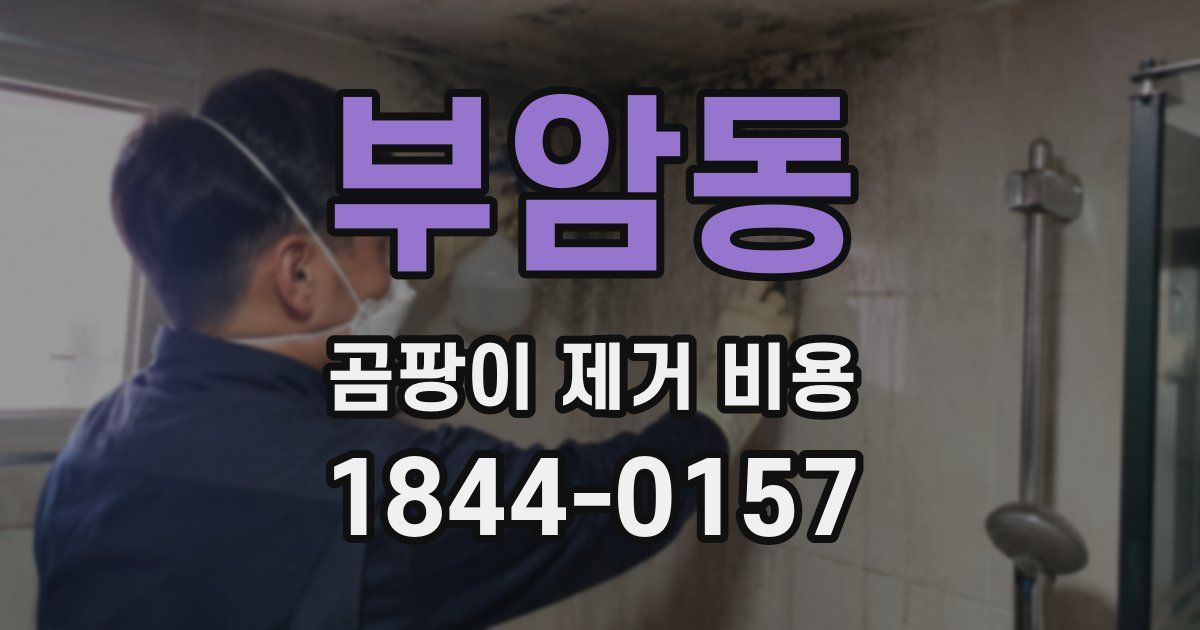 부암동 곰팡이 제거 비용