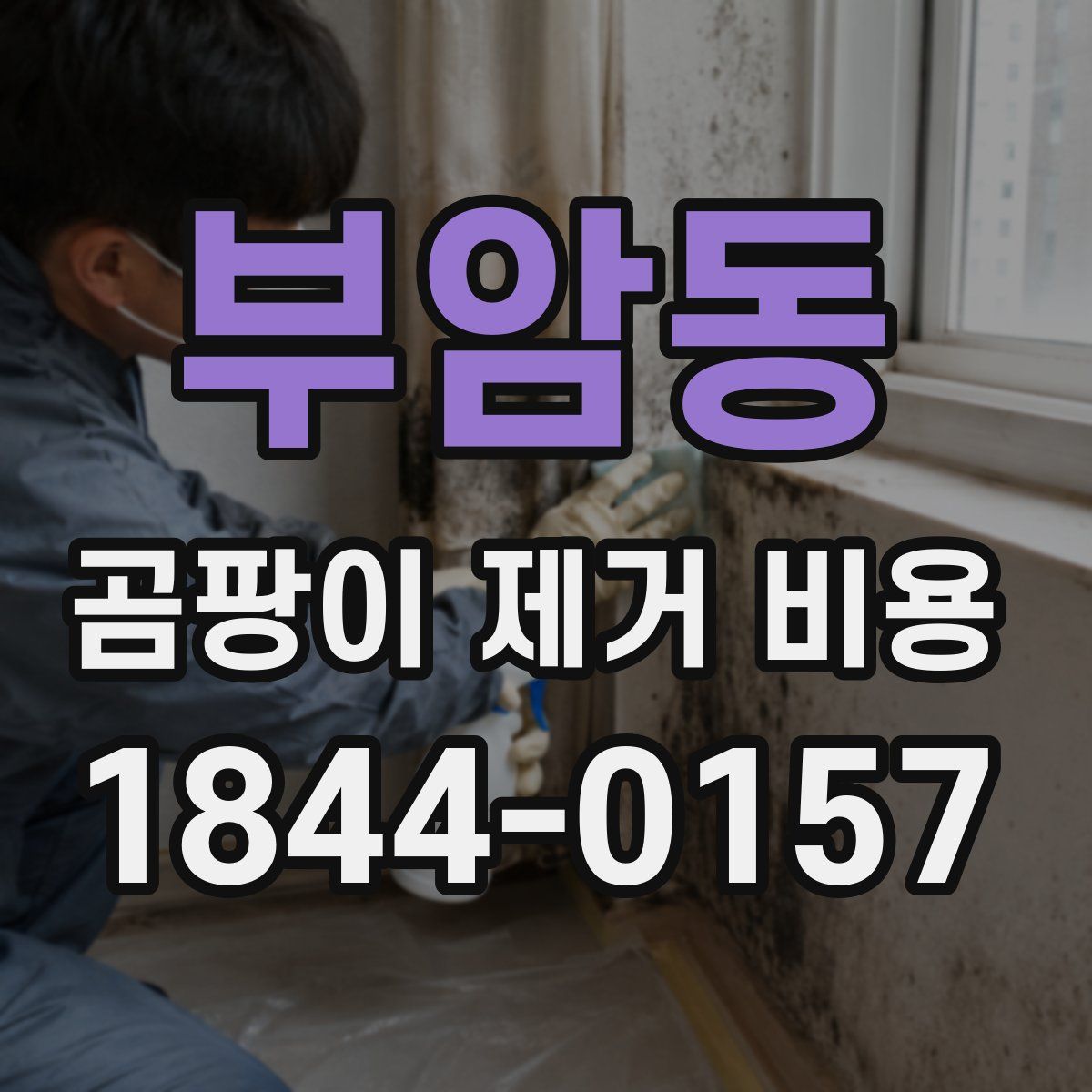 부암동 곰팡이 제거 비용