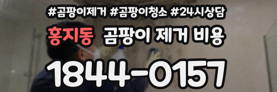 홍지동 곰팡이 제거 비용