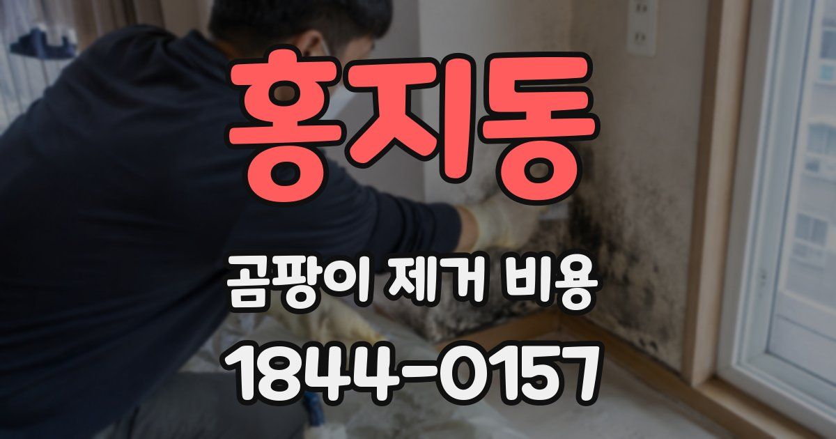 홍지동 곰팡이 제거 비용