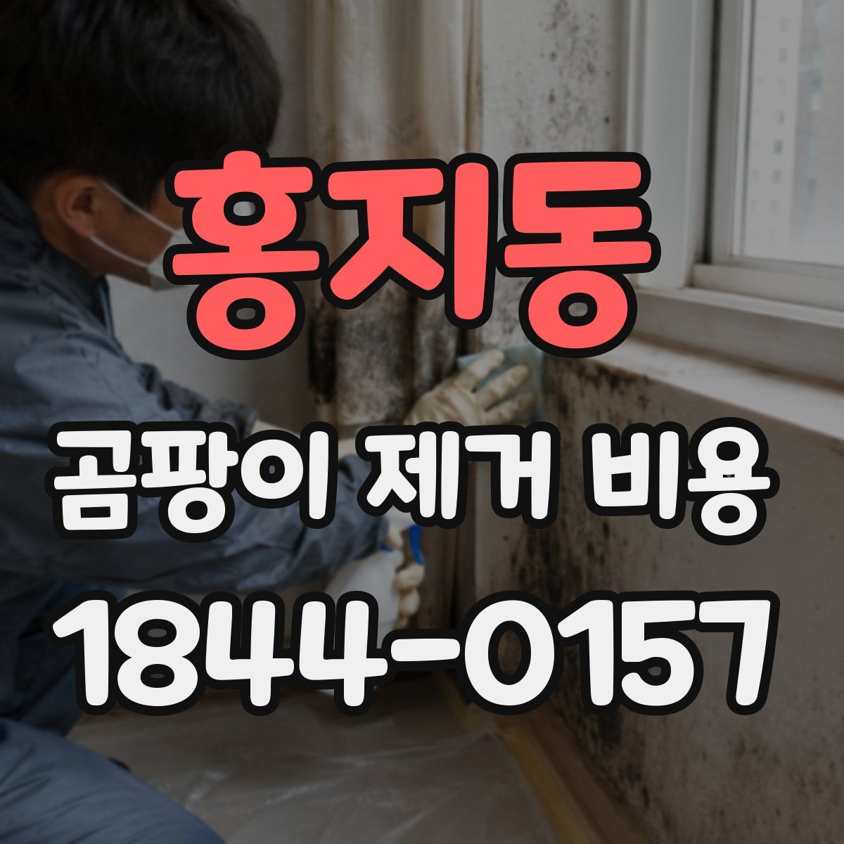 홍지동 곰팡이 제거 비용