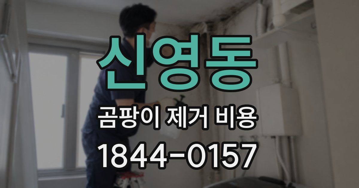 신영동 곰팡이 제거 비용