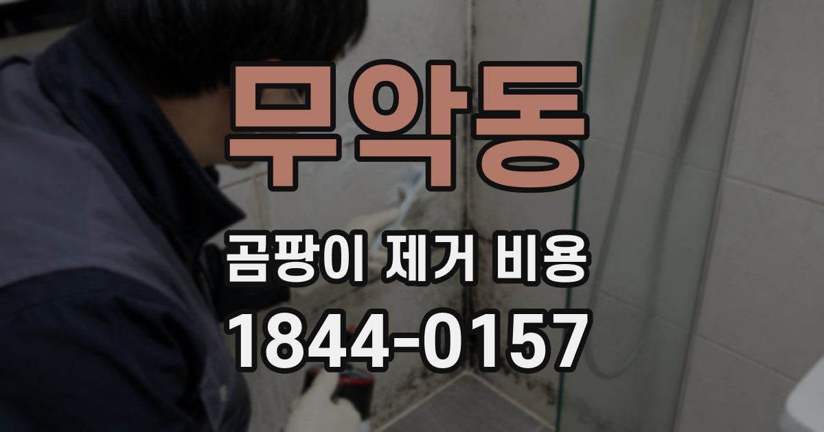 무악동 곰팡이 제거 비용