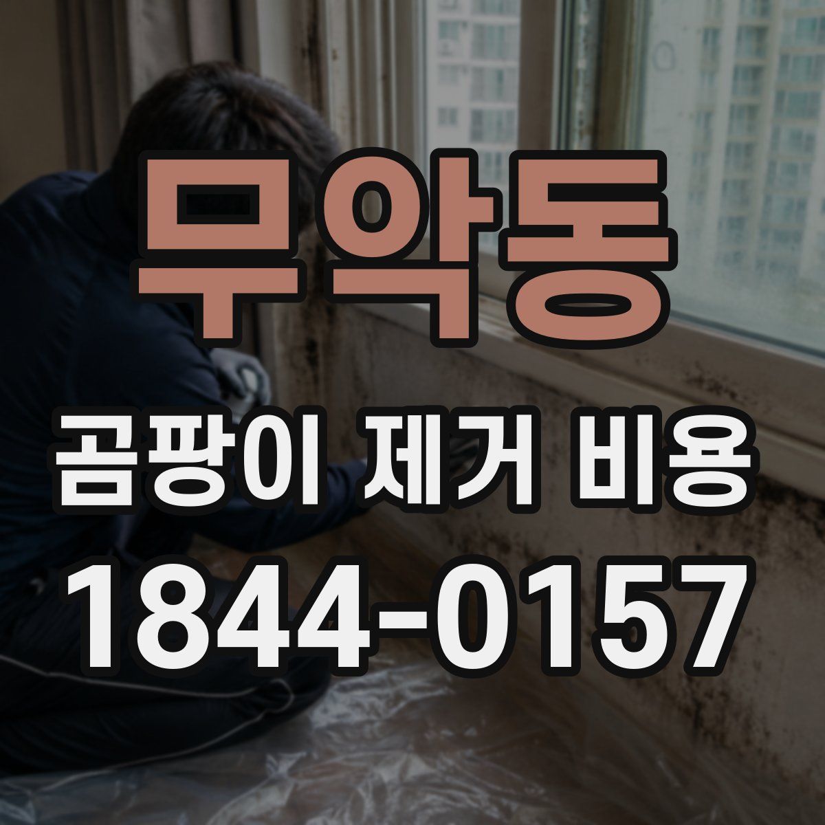 무악동 곰팡이 제거 비용