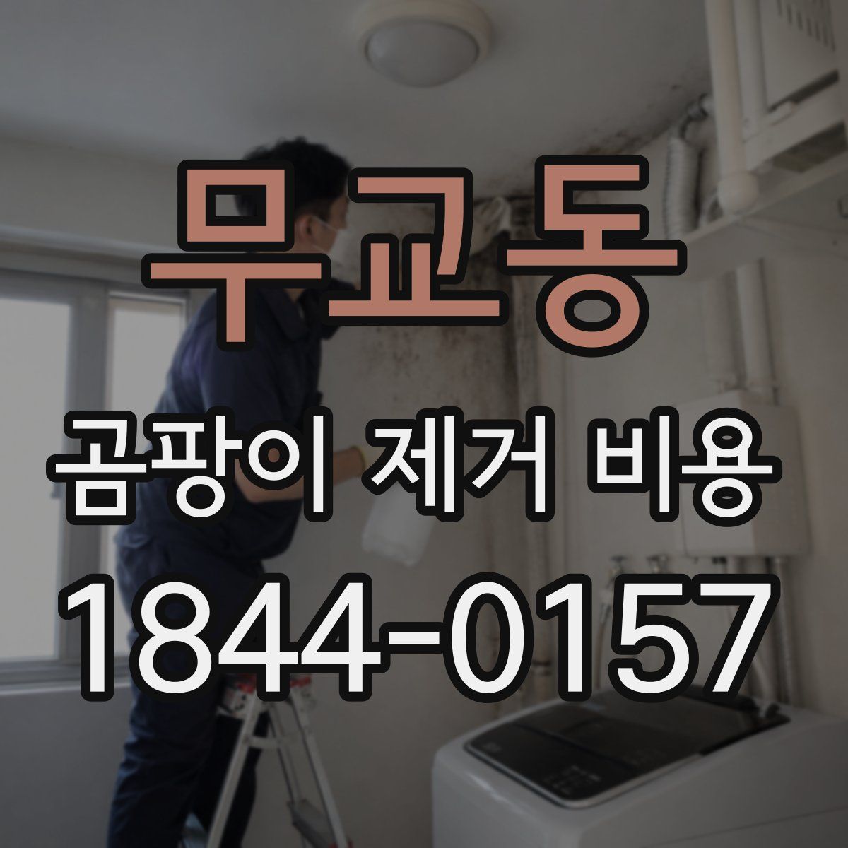 무교동 곰팡이 제거 비용