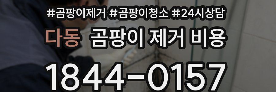 다동 곰팡이 제거 비용