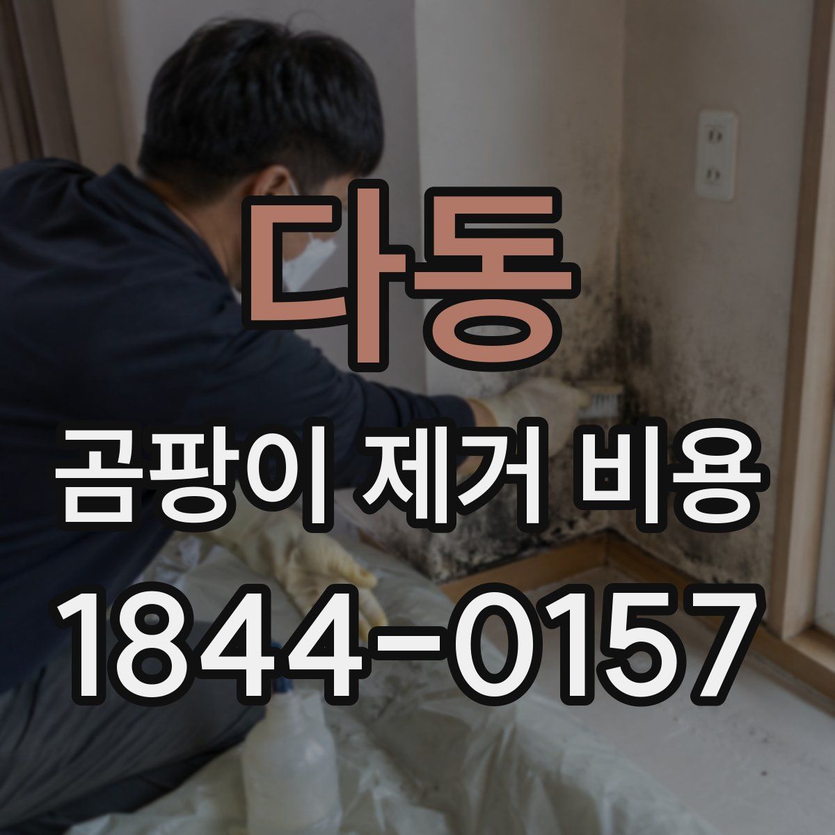 다동 곰팡이 제거 비용