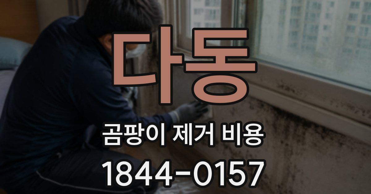 다동 곰팡이 제거 비용