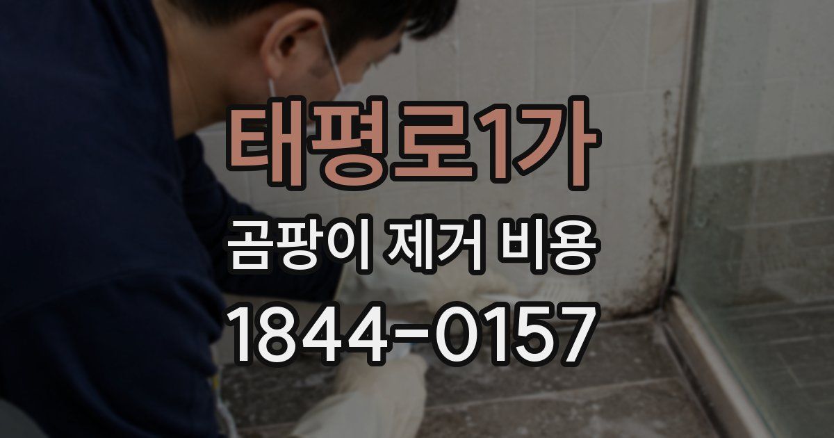태평로1가 곰팡이 제거 비용