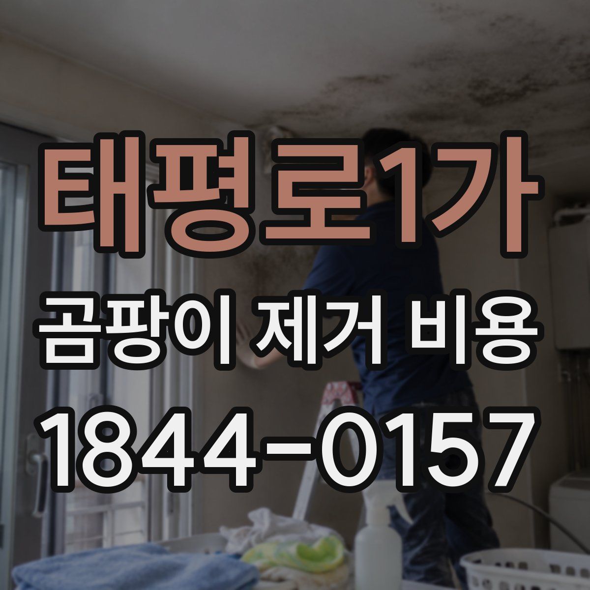 태평로1가 곰팡이 제거 비용